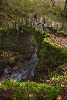 a moss covered bridge over a stream in the woods