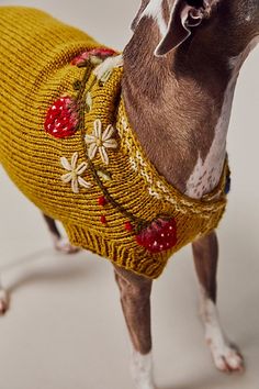 a dog wearing a sweater with flowers on it