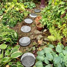 there are many plants and rocks in the ground near each other on this garden path