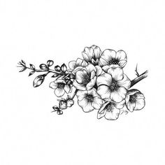 black and white drawing of flowers on a white background