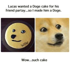 a doge cake with the words wow on it and an image of a doge's face