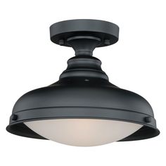 a black ceiling light with a white light on it's side and an oval glass shade