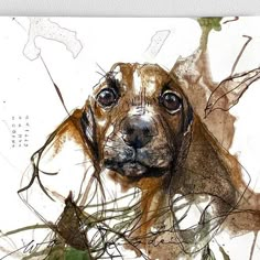 a painting of a dog with grass in its mouth