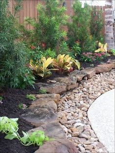 a garden with rocks and plants in it