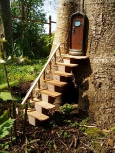 there is a tree house built into the side of a tree trunk with stairs leading up to it