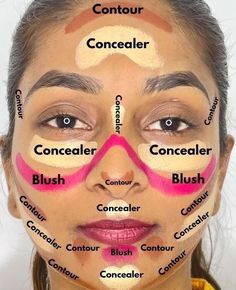 Where To Put Makeup On Face, Face Makeup Guide, Makeup Layout, Skincare Stuff, Face Contouring Makeup, Membentuk Alis, Beginners Makeup, Makeup Order, Makeup Brushes Guide