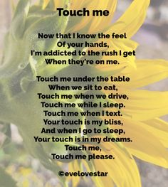 a yellow sunflower with the words touch me on it's back side and an image of a flower in the background