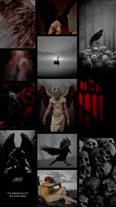 a collage of black and white images with different types of skulls, birds, and people