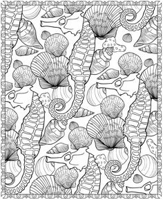 seahorses and seashells coloring page for adults