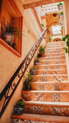 the stairs are lined with potted plants