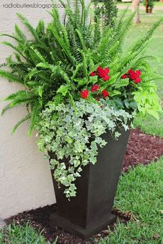 a planter with red flowers and green leaves