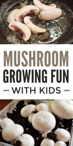 mushroom growing fun with kids is an easy way to learn how to grow mushrooms in the garden