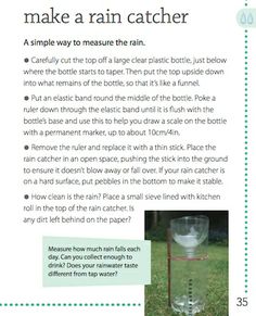 an article about how to make a rain catcher for your garden or yard with instructions