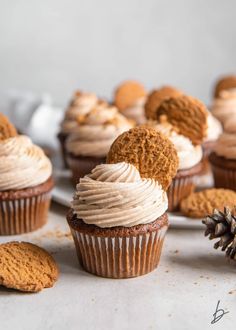 cupcakes with frosting and cookies on a white surface next to an orange pine cone