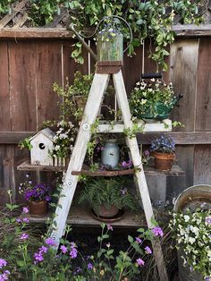 an old ladder is used as a plant stand for potted plants and other flowers