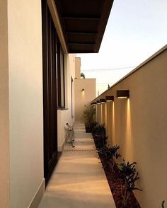 a long narrow walkway between two buildings with lights on each side and plants in the middle