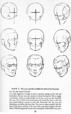 a book with different types of head shapes and their corresponding features, including the cross