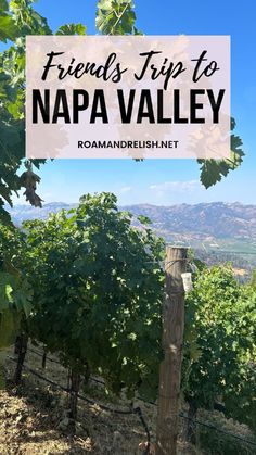 Looking for Napa Valley trip ideas with friends or a girls trip? This Napa Valley travel guide has a perfect Napa Valley itinerary! From the best Napa Valley wineries to Napa restaurants, there’s plenty to enjoy, even if you're looking for things to do in Napa besides drink. Explore Napa Valley in December or January, find out where to stay in Napa Valley, and get insider tips for your Napa trip, whether it’s a weekend or a longer vacation!