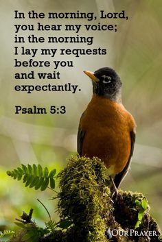 a bird sitting on top of a moss covered branch with a bible verse below it