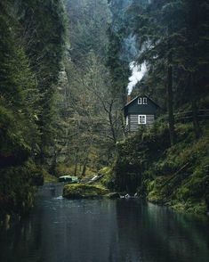 a small cabin in the middle of a forest with a river running between two trees