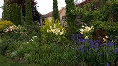 the garden is full of colorful flowers and greenery in front of an old house