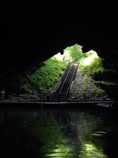 an underground tunnel with stairs leading up to the water and trees growing on the side