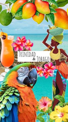 a collage of tropical fruits and flowers with a woman holding a cocktail in front of the ocean