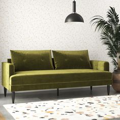 a green couch sitting next to a potted plant on top of a white rug