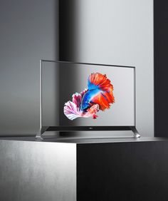 an image of a fish on the screen of a tv that is sitting on a table