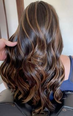 Black Hair With Chestnut Highlights, Straight Brown Balayage, Balyage Hair, Gambar One Direction, Black Hair Balayage, Brown Hair Looks, Hair Inspiration Long