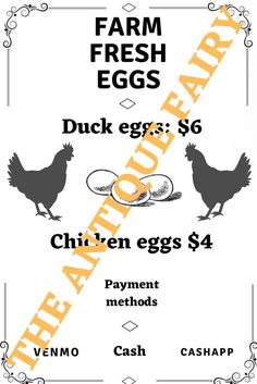 the farm fresh eggs coup flyer