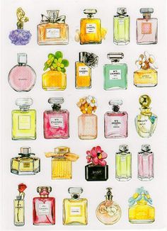 an illustration of many different perfumes on a white background