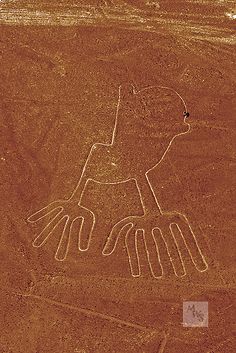 an image of a bird on the side of a rock face in egypt, taken from above