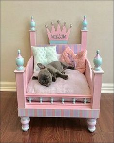 a cat laying on top of a pink bed in a room with hardwood flooring