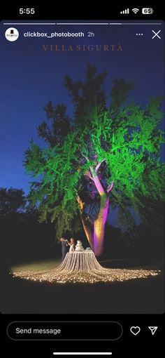 a tree that is lit up at night