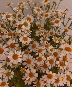 a bunch of white and yellow flowers in a vase