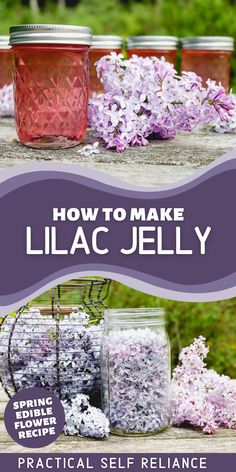 homemade pin lilac edible flowers turned into jelly canned in a Ball canning jar sitting next to fresh lilac flowers. Floral Jelly, Flower Jelly, Home Canning Recipes, Make Paper Flowers, Jam Recipes Homemade, Canning Food Preservation