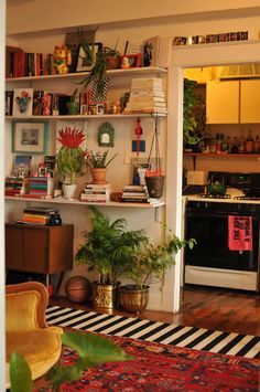 a living room filled with lots of furniture and plants on top of shelves next to an oven