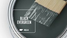 a paint can with the words black evergreen on it and a brush in front of it