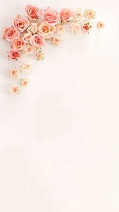 an arrangement of pink roses on a white background with space for your text or image