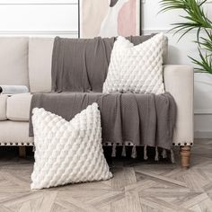 a couch with two pillows on it next to a potted plant in a living room