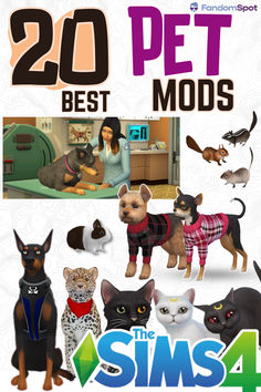 the cover of the book 20 pet mods, featuring cats and dogs in sweaters