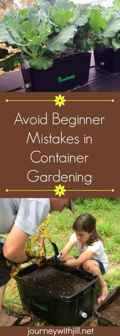 two people are tending to plants in the garden with text overlay that reads avoid beginner