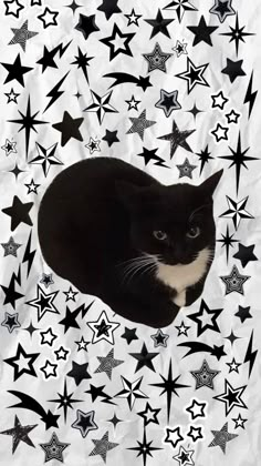 a black and white cat laying on top of stars