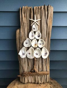 a christmas tree made out of seashells on top of a piece of driftwood