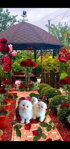 two stuffed animals sitting in the middle of a garden with red flowers and potted plants