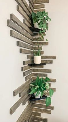 some plants are sitting on wooden shelves in the corner