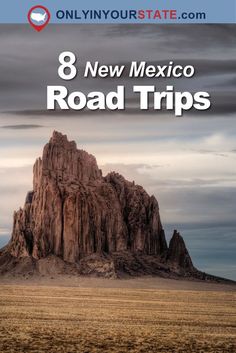 the road trip in new mexico with text overlay that reads 8 new mexico road trips