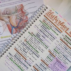 an open spiral notebook with diagrams and text on it, showing the human body's muscles