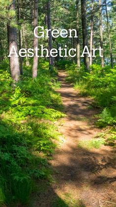 a dirt path in the middle of a forest